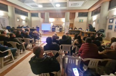 L’arrivo della xylella sul Gargano preoccupa i produttori di olio di oliva L’arrivo della xylella sul Gargano preoccupa i produttori di olio di oliva