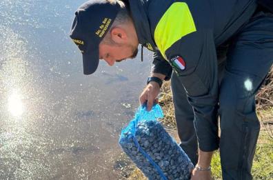 Manfredonia, la GdF sequestra 400kg di vongole destinate al mercato illegale Manfredonia, la GdF sequestra 400kg di vongole destinate al mercato illegale