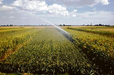 Cartelle su agricoltori soli: l&rsquo;insostenibile sistema dei consorzi di bonifica