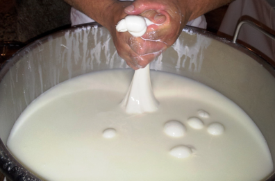 Ad Andria scoppia la &laquo;guerra della burrata&raquo;: due consorzi si contendono il Monumento al Casaro in via Bisceglie