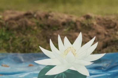 A Lecce la mostra &laquo;Falling&raquo;  di Driant Zeneli: la caduta come trasformazione, politica e realismo magico