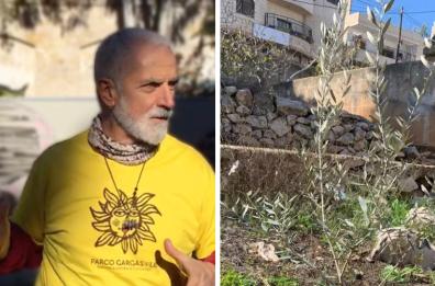 In Palestina un ulivo intitolato all'ecologista barese Manlio Epifania: &laquo;Per i martiri della libert&agrave;&raquo;