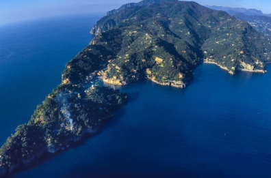 Coralli e territorio Il mare &egrave; regno della biodiversit&agrave;