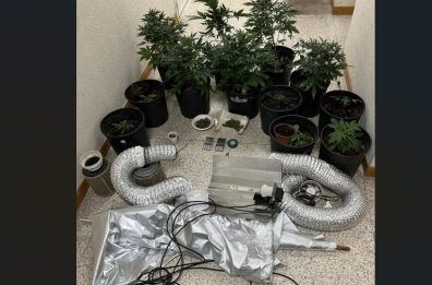 Brindisi, avevano allestito in casa una piantagione&nbsp;di marijuana: arresti domiciliari per padre e figlio 