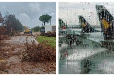 Pioggia e forti raffiche di vento in Puglia, alberi caduti a Maruggio. Tre voli in arrivo a Brindisi dirottati a Bari
