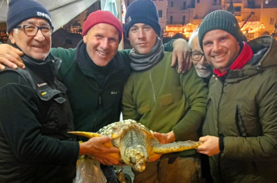 Trani, in un anno recuperate 400 tartarughe vittime della pesca a strascico