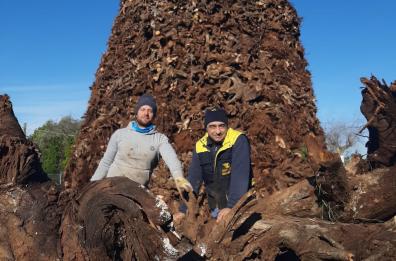 A Castellana Grotte tornano i Fan&ograve;ve: un rito ultrasecolare tra fede e tradizione 