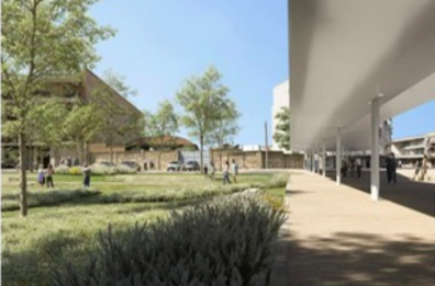 Andria, una foresta urbana in largo Caneva: ecco la riqualificazione sui terreni incolti