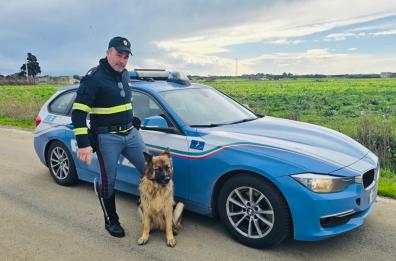 Brindisi, poliziotti salvano un pastore tedesco sulla statale 379