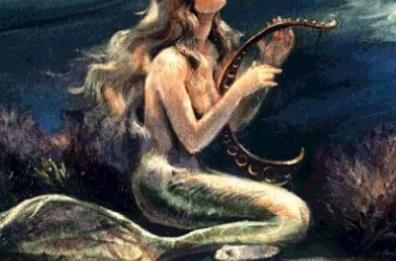 Il canto della sirena
