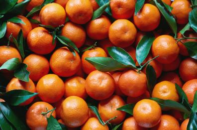 Clementine pugliesi, produzione in forte calo e prezzi sotto i costi