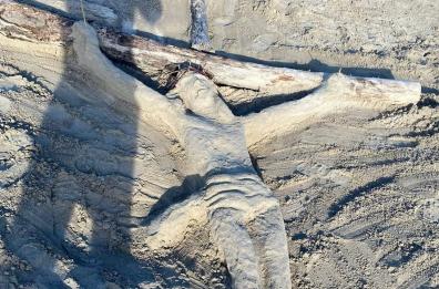 Dalla furia delle mareggiate del Salento nasce l’arte: a Gallipoli un Cristo emerge dalla sabbia Dalla furia delle mareggiate del Salento nasce l’arte: a Gallipoli un Cristo emerge dalla sabbia