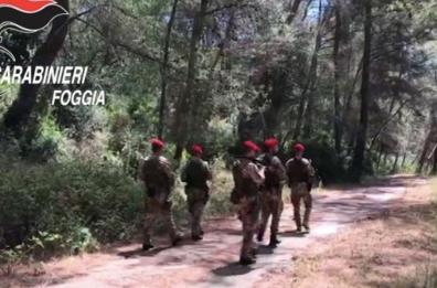 Mafia Garganica, la Dda chiede 42 condanne nel maxi processo Mari e Monti 