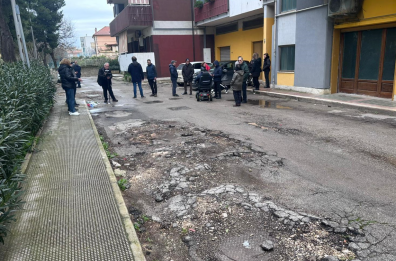 Barletta, «le radici degli alberi mettono a rischio la palazzina» Barletta, «le radici degli alberi mettono a rischio la palazzina»