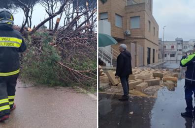 Vento forte anche in Salento: grosso albero cade sulla Presicce-Lido Marini, strada chiusa per giorni