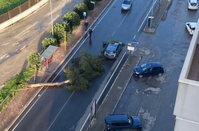 Vento forte su Taranto, primi danni in citt&agrave; e in provincia 