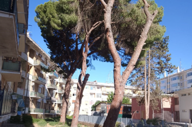 Lecce, il Piano del verde s&rsquo;inceppa sulle propriet&agrave; private