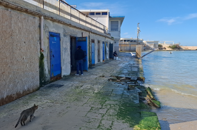 Bari, Torre a Mare quartiere abbandonato e pescatori disperati: «Senza dragaggio, il porto muore» Bari, Torre a Mare quartiere abbandonato e pescatori disperati: «Senza dragaggio, il porto muore»