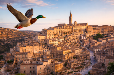 Dal bue all&rsquo;anatra zoppa, allegoria di una citt&agrave; in bilico