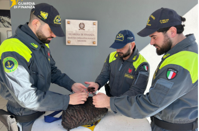 Brindisi, nel mirino della Gdf la pesca di frodo: sequestrati 45 kg di ricci, 13 di datteri e 3 di novellame Brindisi, nel mirino della Gdf la pesca di frodo: sequestrati 45 kg di ricci, 13 di datteri e 3 di novellame