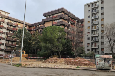 Foggia, abbattuti alberi di pregio in piazza Carlo Gentile: scatta la protesta del Wwf