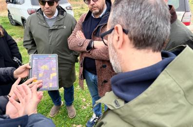 Xylella, nessuna espansione del focolaio nel Barese: &laquo;Ma non abbassiamo la guardia&raquo;