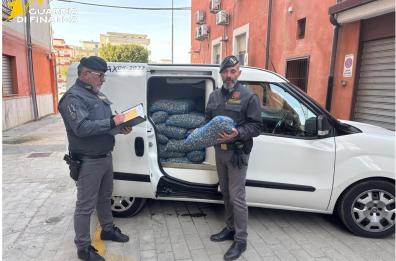 Margherita di Savoia, nel furgone con una tonnellata di vongole e tartufi di mare senza tracciabilit&agrave;: sanzionato