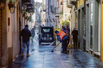 Potenza, a rischio gli interventi contro topi, blatte e insetti: mancano  i fondi