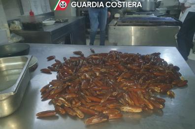 Bari, in un ristorante del centro sequestrati quasi 80 chili di datteri e cozze: denunciati anche due clienti