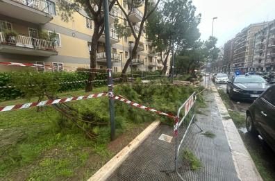 Maltempo, a Bari restano ancora chiusi cimiteri e parchi: ma si va verso l'allerta gialla