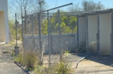 Torre Santa Susanna, bene confiscato ad un boss finito nel degrado: sarebbe dovuto diventare un canile Torre Santa Susanna, bene confiscato ad un boss finito nel degrado: sarebbe dovuto diventare un canile