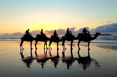 Torna il TUF &ndash; Tagghiate Urban Fest 2026: il 13 agosto a Melpignano appuntamento con i Subsonica