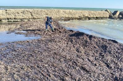 Lecce, due darsene nel caos: il Comune corre ai ripari, c'&egrave; l'ipotesi affidamento diretto