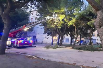 Foggia, grosso ramo cade in P.zza Giovanni XXIII: strada bloccata e intervento dei Vigili del Fuoco