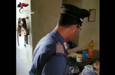 Mottola, pastore sfruttato per oltre 12 ore al giorno: arrestato imprenditore