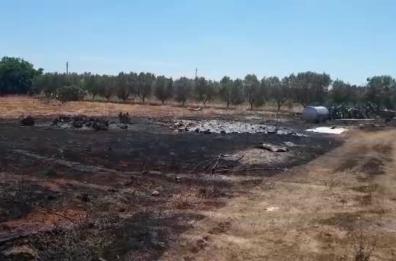 Ruffano, le fiamme divorano campi e capannone agricolo