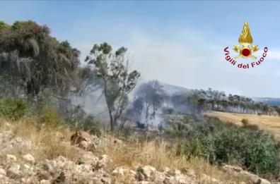 Gallipoli, vasto incendio vicino Lido Conchiglie, in azione canadair