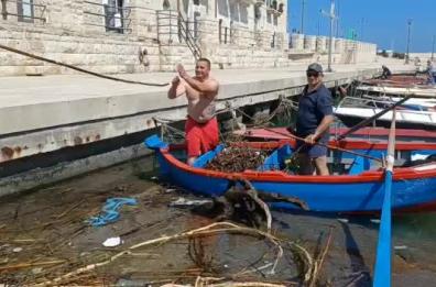 I pescatori del Barese impegnati a ripulire il mare da arbusti e detriti dell'alluvione in Emila Romagna 