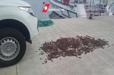 Polignano, sequestrati 25 kg di datteri di mare: schiacciati e buttati in acqua