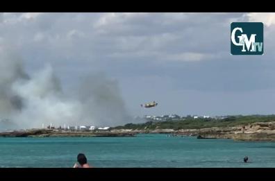 Gallipoli, vasto incendio nel Parco di Punta Pizzo: trovato corpo carbonizzato