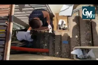 Foggia, 8 gattini intrappolati dopo nubifragio: polizia locale li salva da morte certa