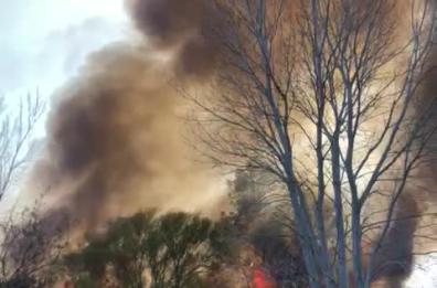 Salento, vasto incendio divampa vicino i laghi Alimini. In tarda serata individuato il presunto piromane 