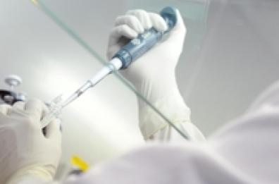 Coronavirus in Italia, 202 nuovi positivi e 71 vittime. 7 regioni a contagio zero