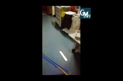 Terlizzi, un fiume di acqua allaga Medicina e Chirurgia: disagi all'ospedale  Video
