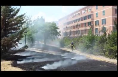 Foggia, panico e fiamme
nella villa comunale