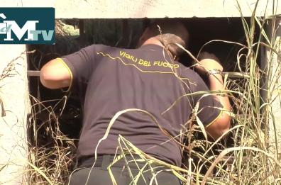 Bari, anziano cade in un pozzo
il salvataggio dei Vigili del fuoco Il Video