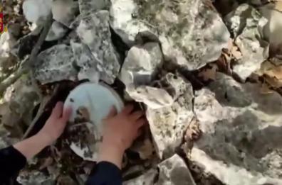 Chili di droga in un terreno incolto: sequestro a Sannicandro di Bari