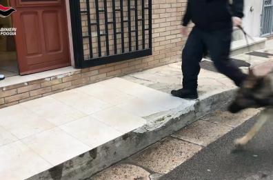 Foggia, 55 kg di sigarette nascoste tra casa e cantina: 54enne arrestato