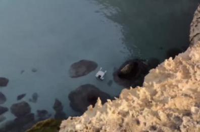 Torre dell'Orso, turisti inglesi salvano tartaruga che non riusciva a nuotare