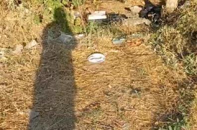 Potenza invasa dai topi: pioggia di segnalazioni, il parco per Elisa Claps nel degrado